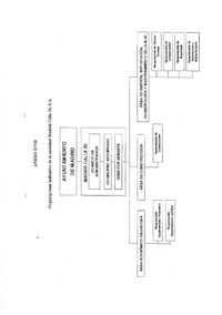 ANEXO XVIII. ORGANIGRAMA INDICATIVO DE LA SOCIEDAD MADRID CALLE 30, S.A.